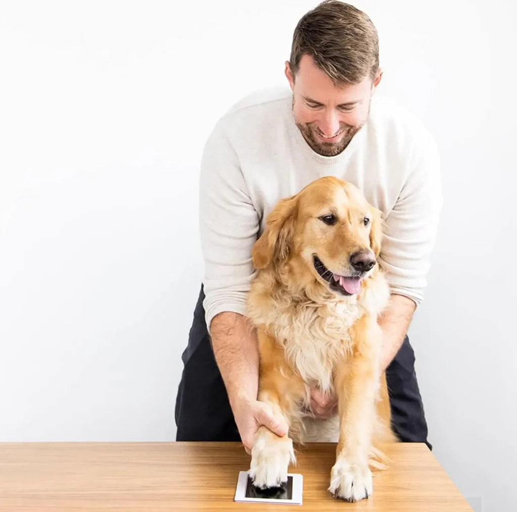 dog paw print kits